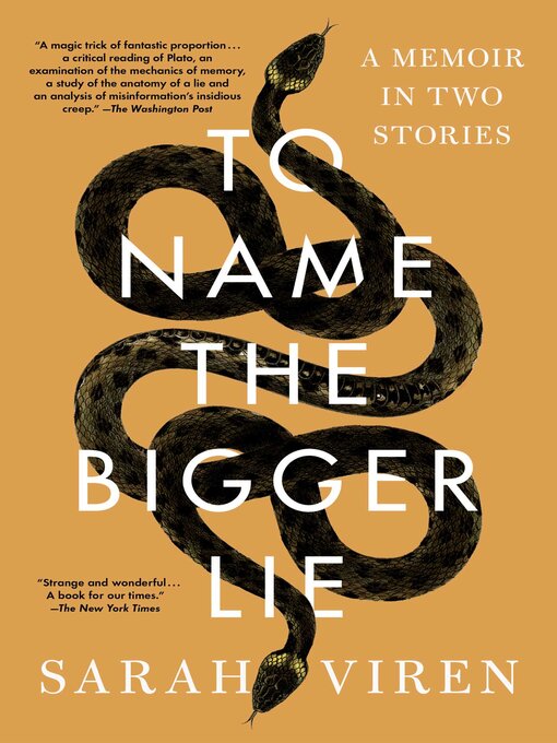 Cover image for To Name the Bigger Lie